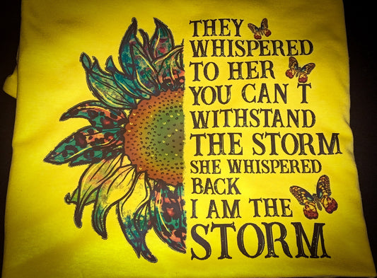 I Am The Storm
