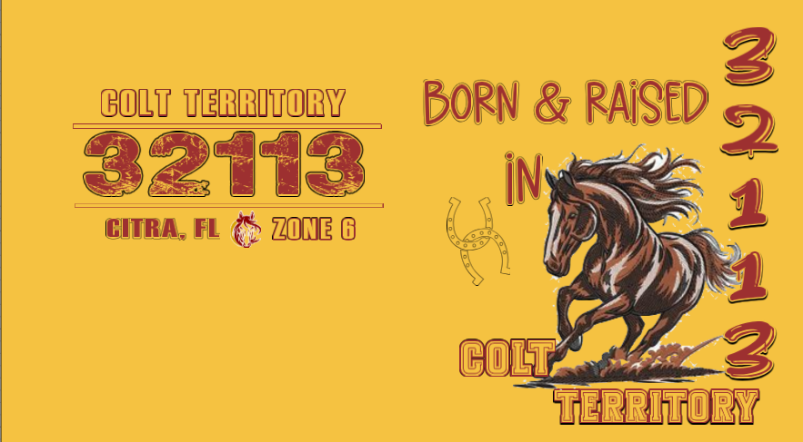 Rep Your Zip "32113"