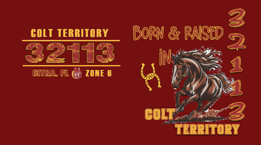 Rep Your Zip "32113"